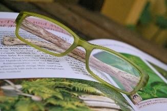 Eine Brille liegt auf einem aufgeschlagenen Buch. Pixabay glasses KRiemer